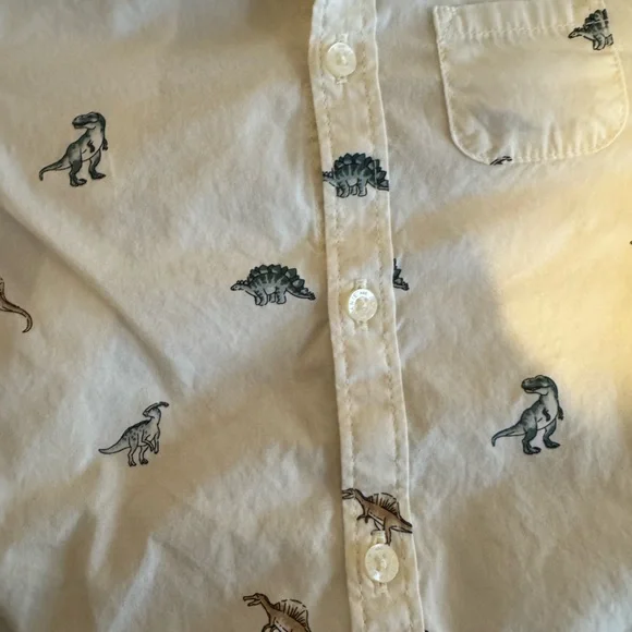 Like New Janie and Jack 2 Piece Boys Dinosaur Button Down w Green Corduroy Pants - Picture 5 of 14